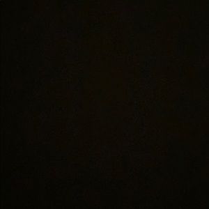 Meet your Posher, Daniela